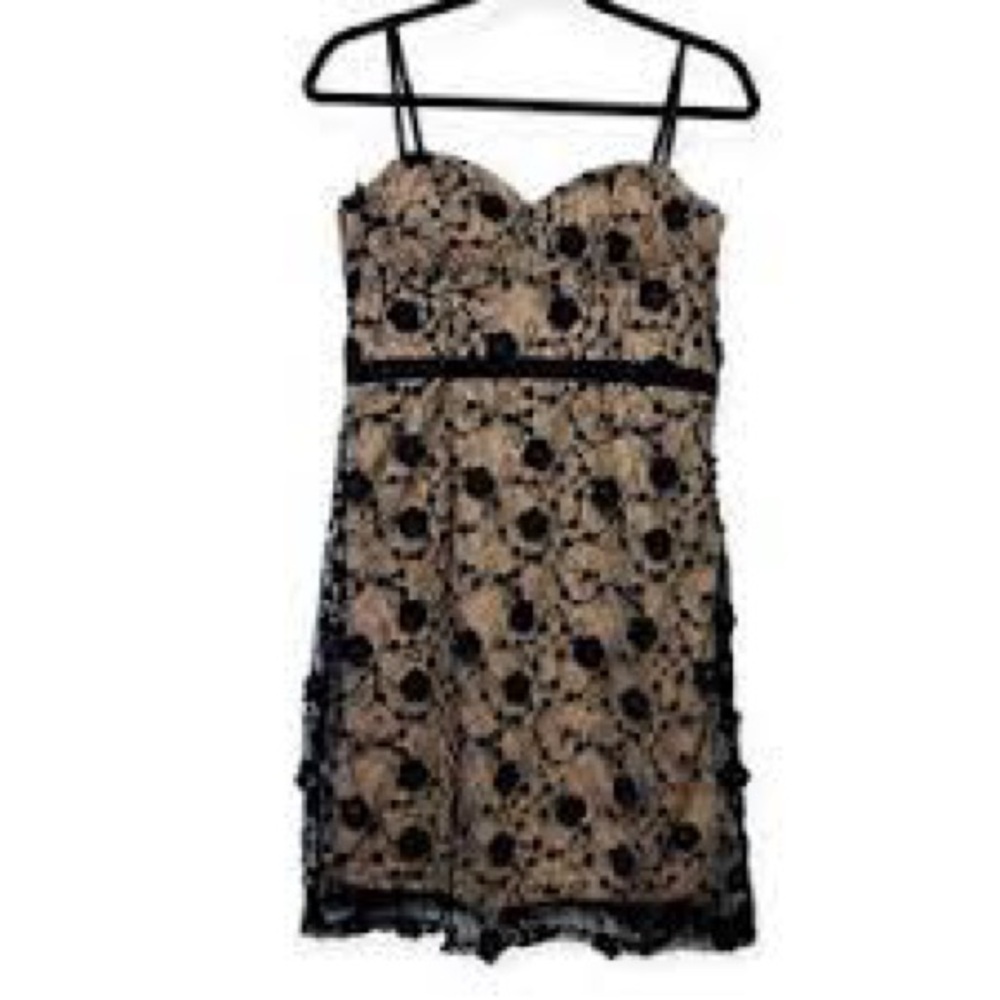 Haute Monde Black Lace Dress. New with tags.